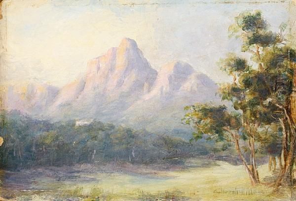 Park Scene With Mountains In Thedistance - view 1