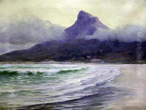 Lions Head, Sea Point - view 1