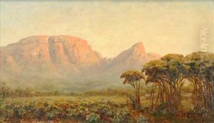 Devils Peak, Cape Town, South Africa by Edward C. Churchill Mace