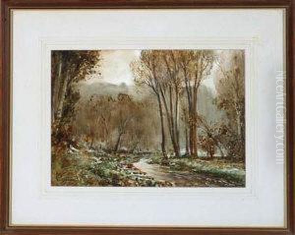 Untitled - view 1