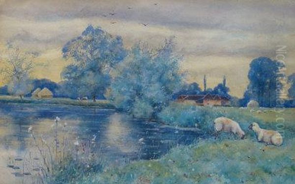 Sheep Grazing At The Rivers Edge - view 1