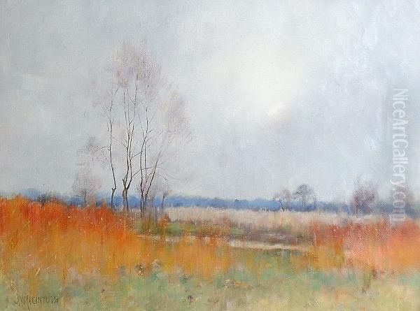Untitled - view 1
