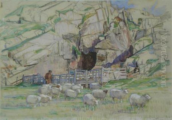 Shepherd, Iona - view 1