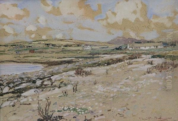 Coastal Farm - view 1