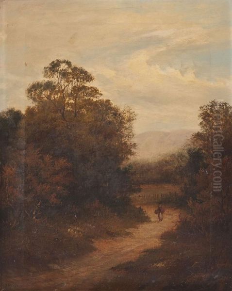 Bauerin Auf Feldweg - view 1