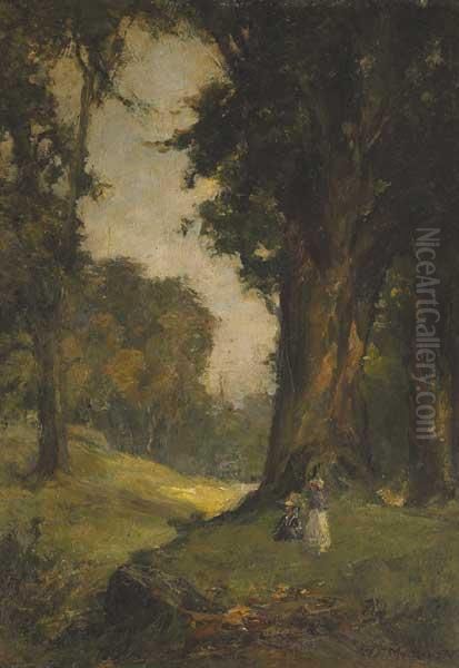 Summer Evening - view 1