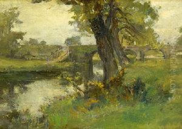 Early Summer, Shaws Bridge - view 1