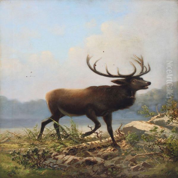 Roaring Stag - view 1