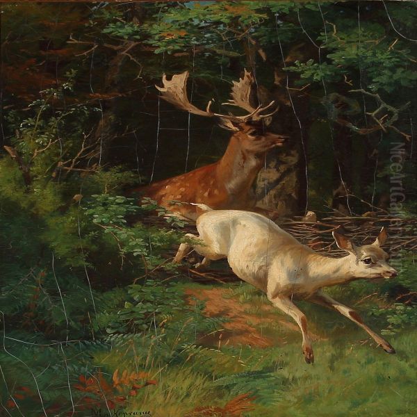 Doe And Hind - view 1