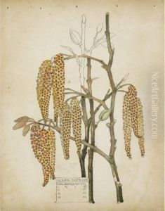 Alder Catkins, Walberswick by Charles Rennie Mackintosh