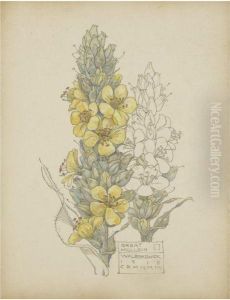 Great Mullein, Walberswick by Charles Rennie Mackintosh