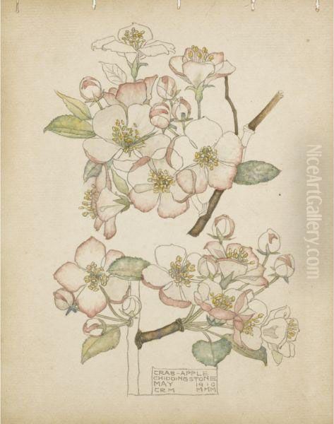Crab Apple, Chiddingstone - view 1