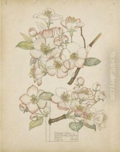 Crab Apple, Chiddingstone
