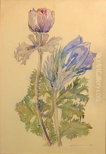 Flower Study - view 1
