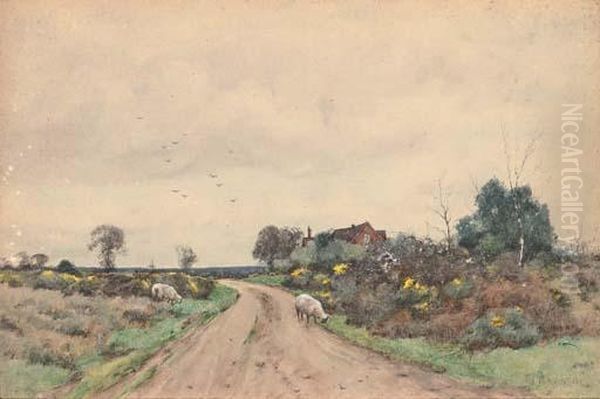 A Quiet Rural Path - view 1