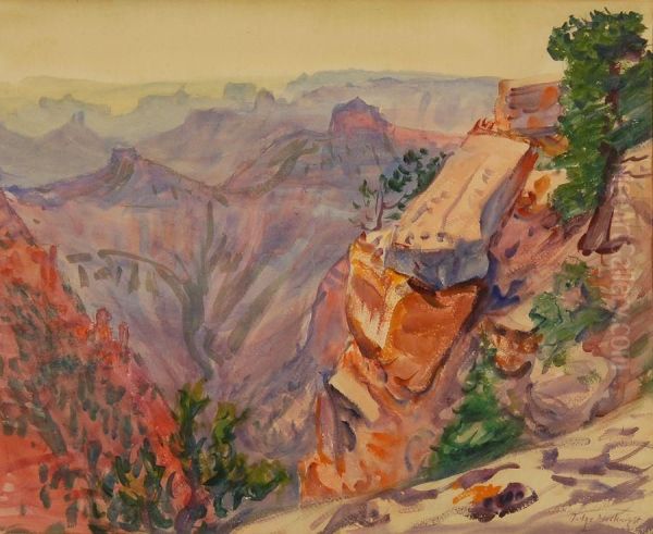 Grand Canyon. - view 1