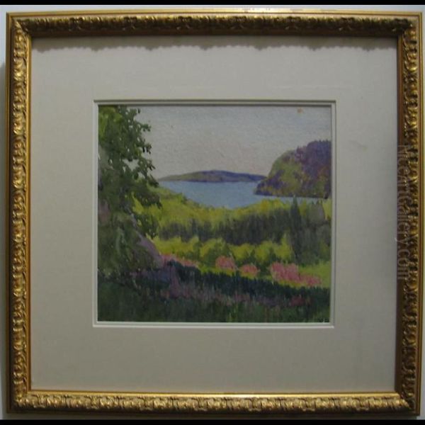 Northern Bush; Redstone Lake; Spring Light - view 1