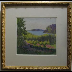 Northern Bush; Redstone Lake; Spring Light