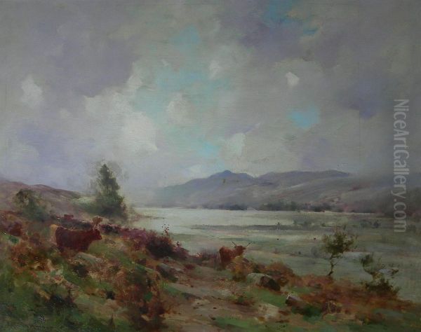 Highland Cattle On A Hillside - view 1
