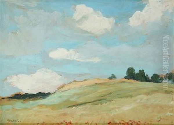 A Summer Landscape - view 1