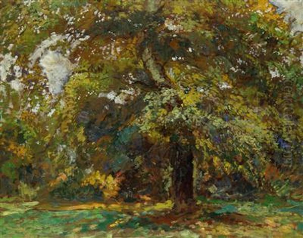 A Tree - view 1