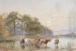 Cattle Watering In Ariver by John MacPherson