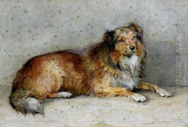 Study Of A Sheep Dog - view 1