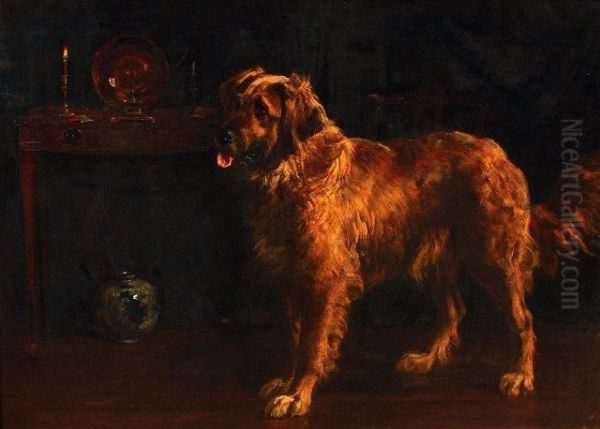 Wendy, Study Of A Retriever Dog In A Domestic Interior - view 1