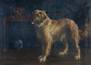 Study Ofa Golden Retriever In A Drawing Room by Percy Thomas Macquoid