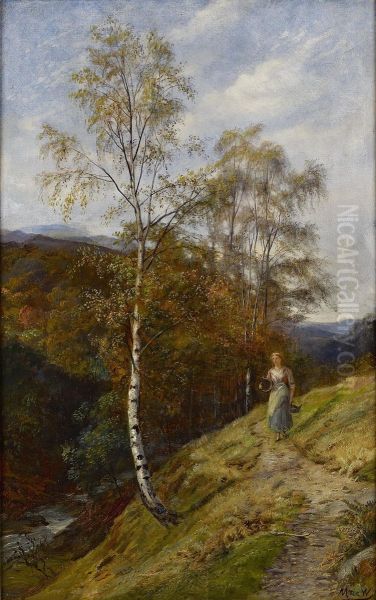 A Path In The Trossachs - view 1