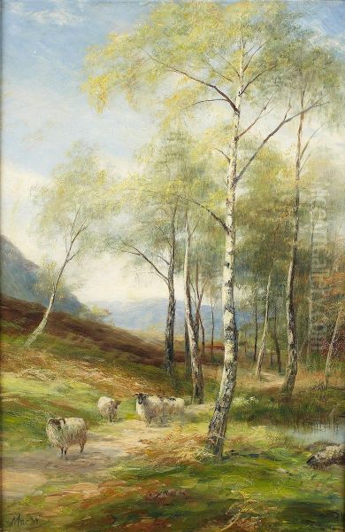 Stragglers In The Birch Woods, Aviemore - view 1