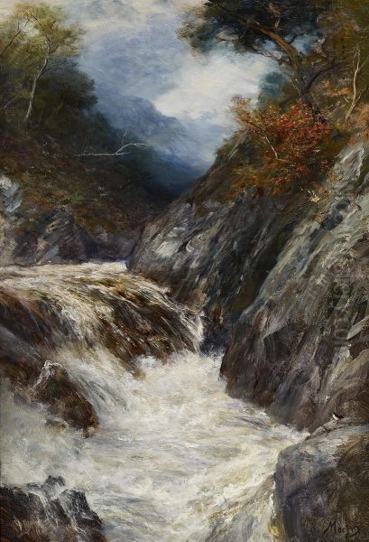A Highland Stream In Spate - view 1