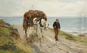Collecting Seaweed