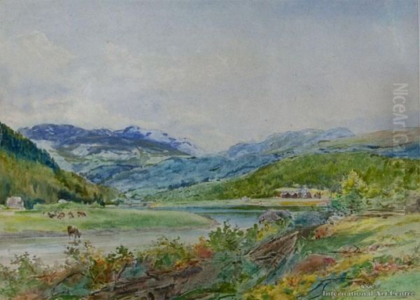 Nelson Landscape - view 1