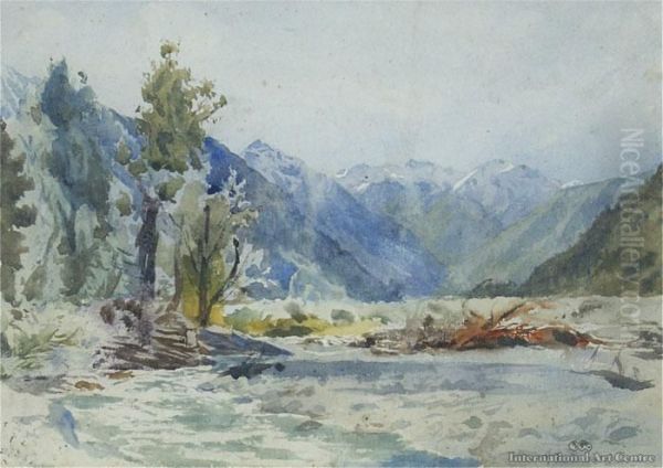 Bealey Valley - view 1