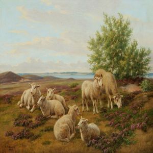 Sheeps In The Field With Flowering Heather by Andreas Peter Madsen