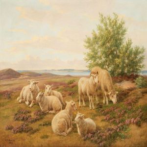 Grazing Sheep