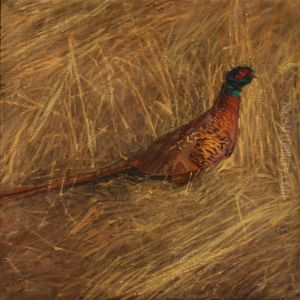 A Male Pheasant On A Field by Christian Juel Madsen