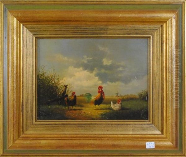 Coq Et Poules - view 1