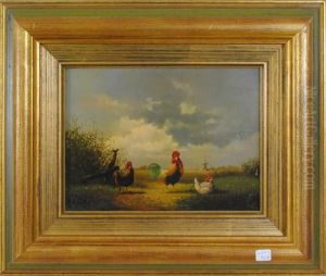 Coq Et Poules