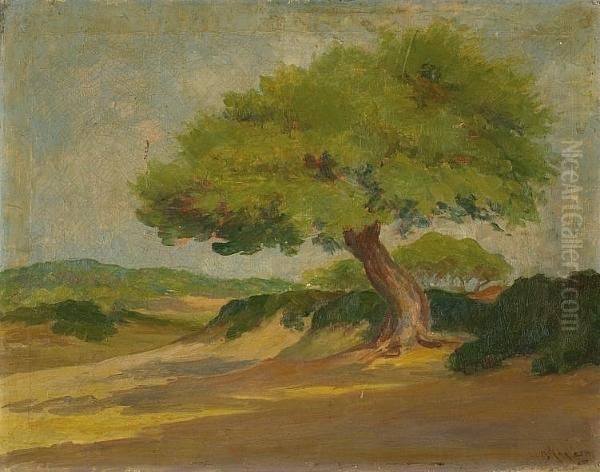 Landscape With Pine Tree - view 1