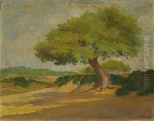 Landscape With Pine Tree by Vassilis Magiassis