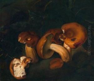 Stilleben Mit Pilzen by Carlo Magini