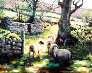 Sheep In Sunlight Sheep In Sunlight