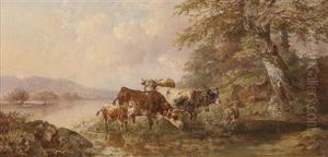 Cows By The Lake Shore