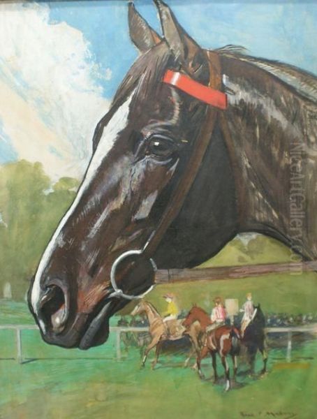 Horse - view 1