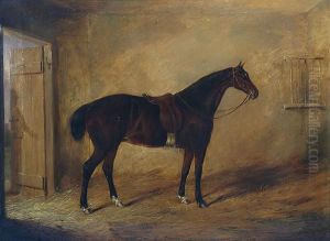 - "il Cavallo Phoebe" by Joseph Maiden
