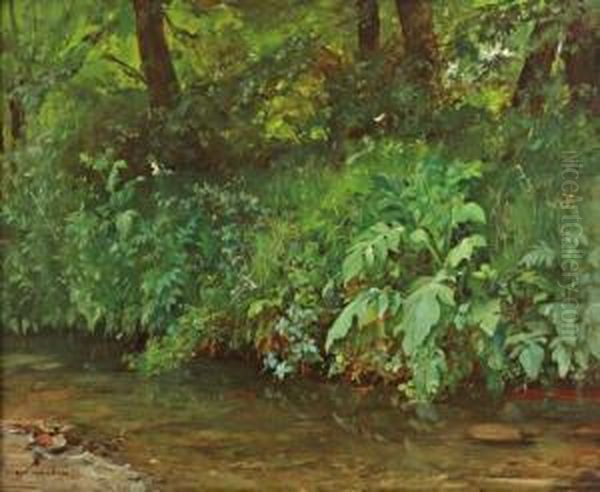 Bord De Riviere En Sous-bois - view 1