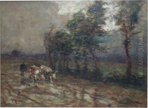 Attelage De Biufs Par Temps Gris - view 1