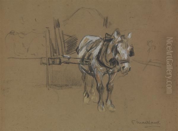 Cheval De Trait - view 1